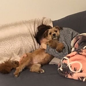 Meet your Posher, Manuel